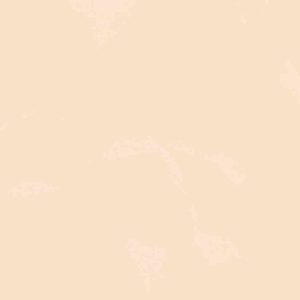 Gạch ốp tường Viglacera 300×600 T368