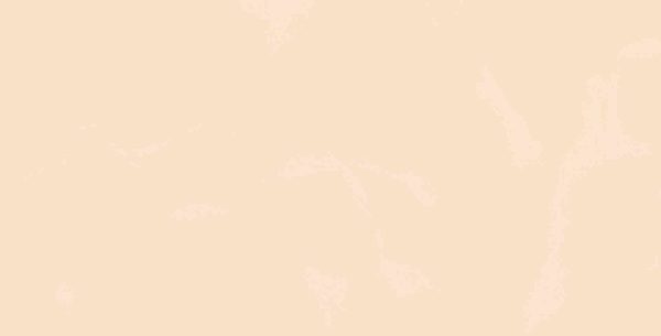 Gạch ốp tường Viglacera 300×600 T368