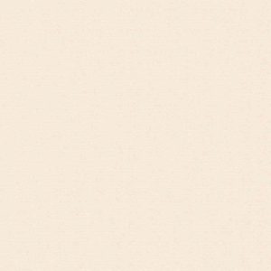 Gạch ốp tường Viglacera 300×600 T369