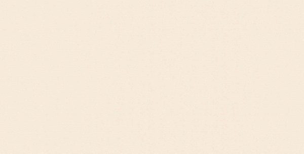 Gạch ốp tường Viglacera 300×600 T369
