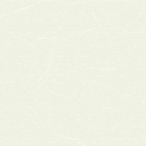 Gạch ốp tường Viglacera 300×600 T365