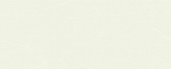 Gạch ốp tường Viglacera 300×600 T365