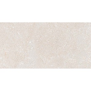 Gạch ốp tường Eurotile 300×600 NGC G02