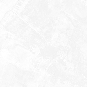 Gạch lát nền Signature 800x800 SIG. DNI E01 - Ảnh 4