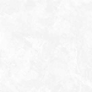 Gạch lát nền Signature 800x800 SIG. DNI E01 - Ảnh 7