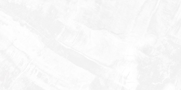 Gạch ốp tường Signature 600×1200 SIG.DNI Q01 - Ảnh 5