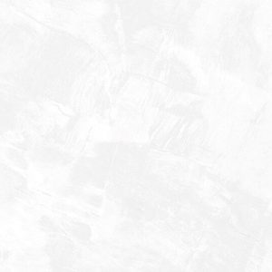 Gạch ốp tường Signature 600×1200 SIG.DNI Q01