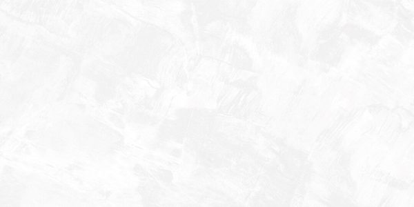Gạch ốp tường Signature 600×1200 SIG.DNI Q01