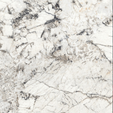 Gạch lát nền Signature 800×800 SIG.NHV E01 - Ảnh 3