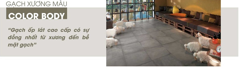 Gạch Viglacera Platinum – Vững chắc vượt mọi thời gian