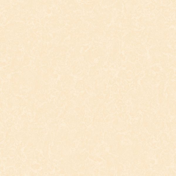 Gạch lát nền Viglacera 600×600 KT605