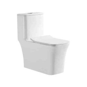 Bồn cầu Trung Quốc SF 668