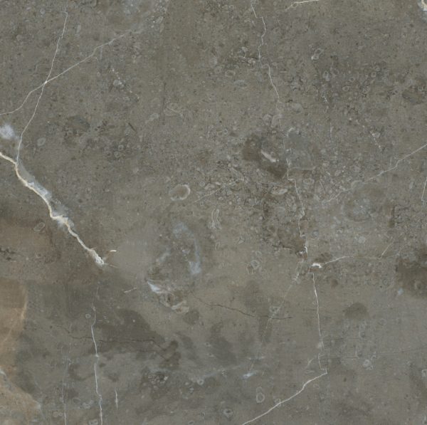 Gạch lát nền Viglacera 600×600 ECO-T604
