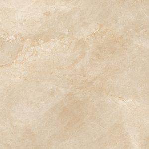 Gạch lát nền Viglacera 600×600 ECO-T605
