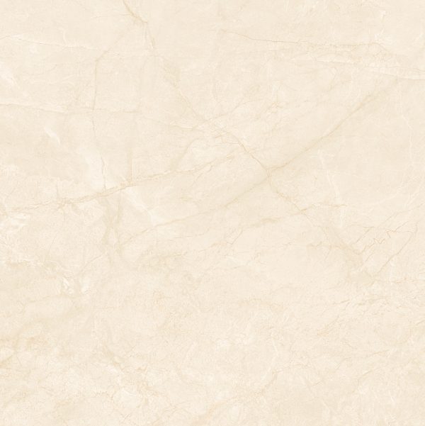 Gạch lát nền Grand 800x800 FL7-GP8803 - Ảnh 5