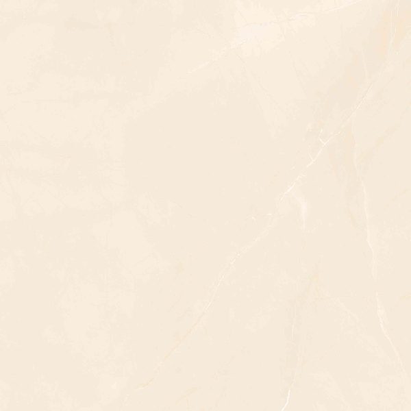 Gạch lát nền Cửu Long 800x800 CL-GP808