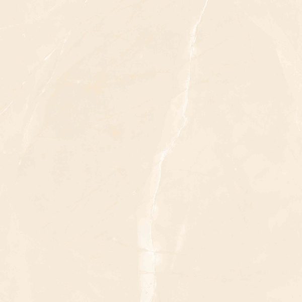 Gạch lát nền Cửu Long 800x800 CL-GP808 - Ảnh 3