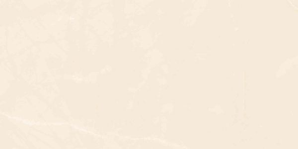 Gạch ốp tường Cửu Long 600×1200 CL-GP61208