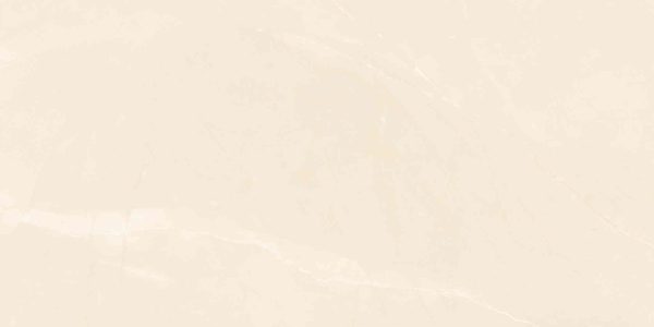 Gạch ốp tường Cửu Long 600×1200 CL-GP61208 - Ảnh 5