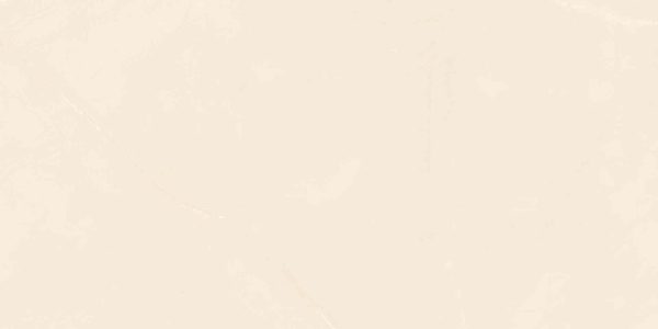 Gạch ốp tường Cửu Long 600×1200 CL-GP61208 - Ảnh 7