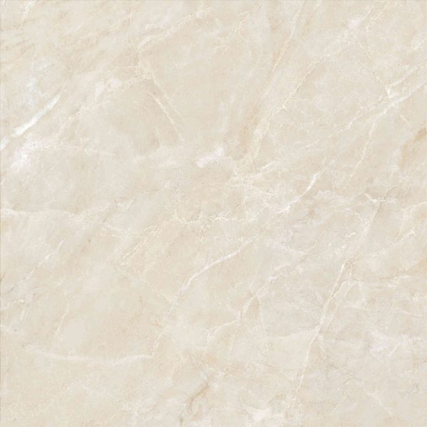 Gạch lát nền Viglacera 800x800 ECO-S822