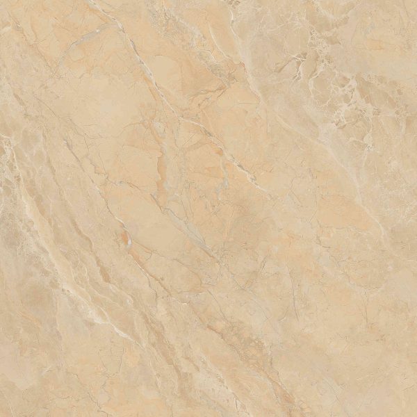 Gạch lát nền Sông Hồng 600x600 SH-GP607 - Ảnh 6