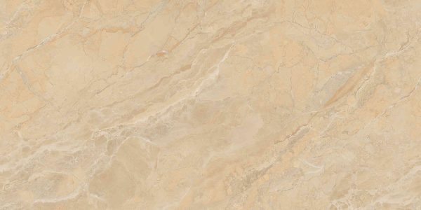 Gạch ốp tường Sông Hồng 600x1200 SH-GP61207 - Ảnh 6