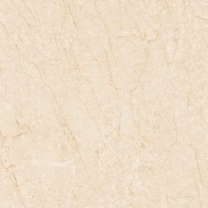 Gạch lát nền Linh Quân 800×800 TQ803
