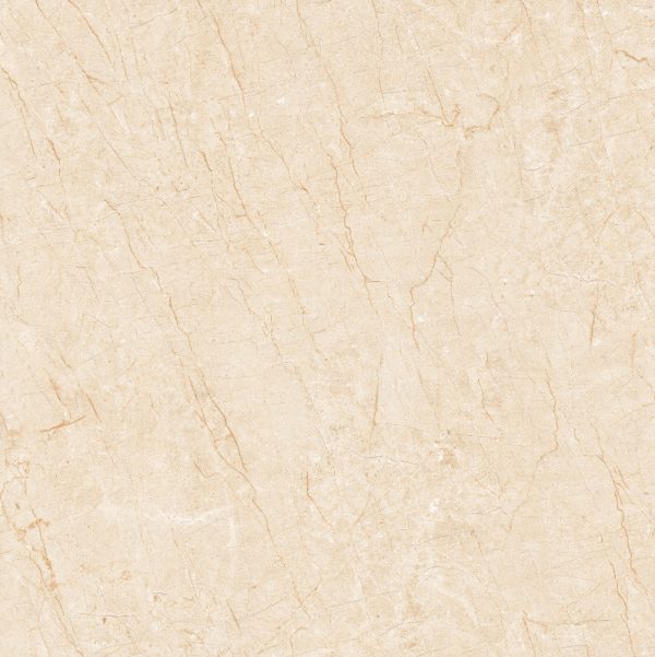 Gạch lát nền Linh Quân 800×800 TQ803