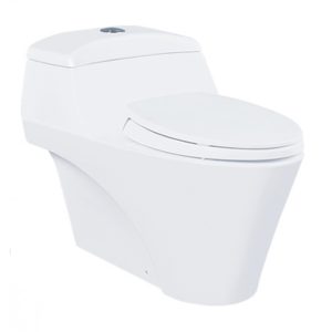 Bồn cầu một khối nắp êm TOTO CW823NW/F#W