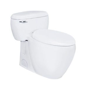 Bồn cầu một khối nắp êm TOTO MS366T7#XW