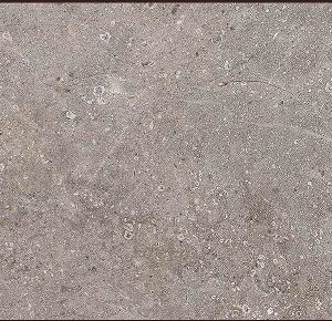 Gạch ốp tường Vietceramic 300x600 36AGT635601R