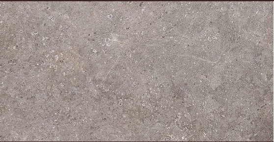 Gạch ốp tường Vietceramic 300x600 36AGT635601R
