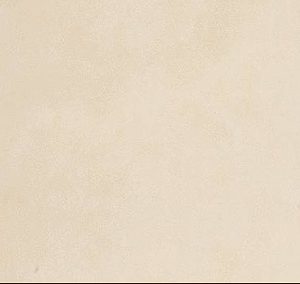 Gạch ốp tường Vietceramic 300x600 36P005A