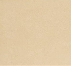 Gạch ốp tường Vietceramic 300x600 36P005B