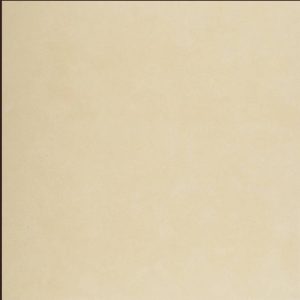 Gạch lát nền Vietceramic 600x600 60P005B