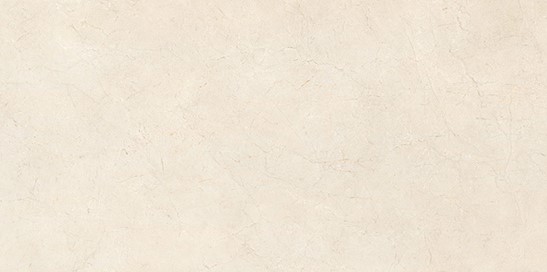 Gạch ốp tường Vietceramic 600x1200 612COBETELA