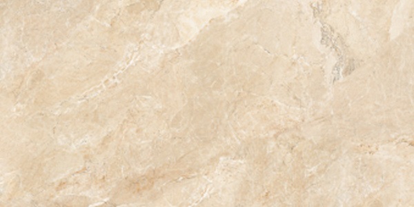 Gạch ốp tường Vietceramic 600x1200 612ETCR