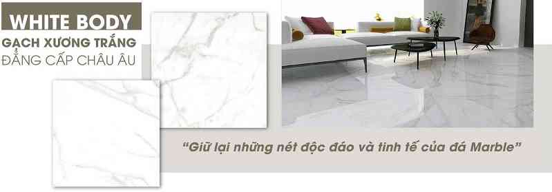 Gạch Viglacera Platinum – Vững chắc vượt mọi thời gian