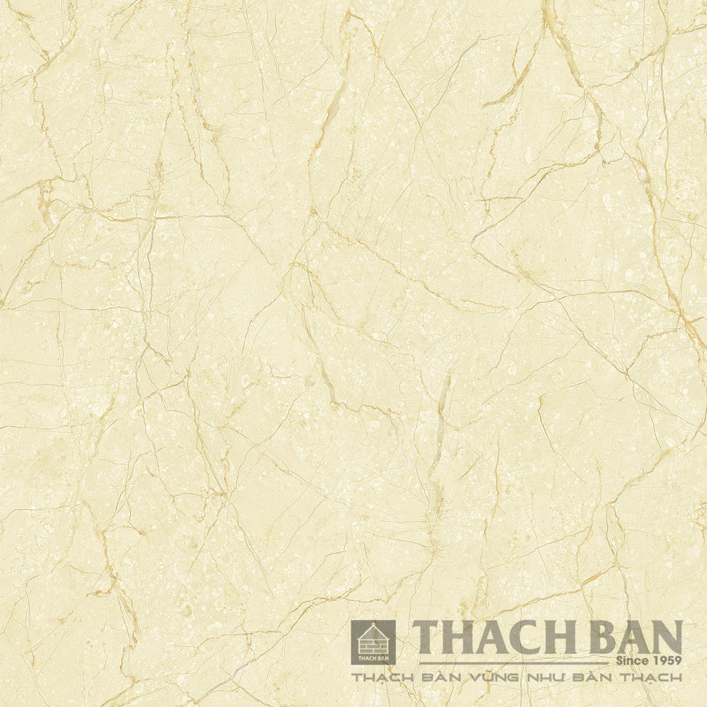 Tiêu chí lựa chọn các loại gạch ốp lát