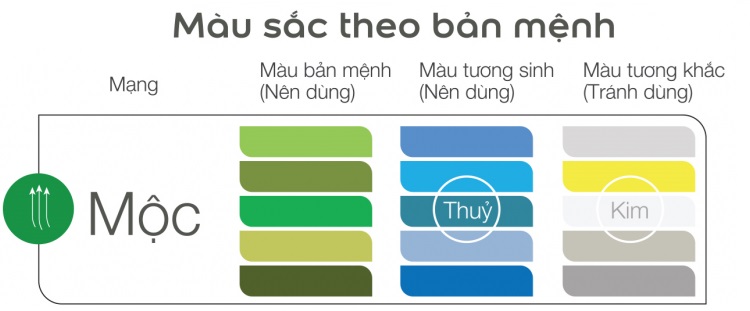 Bí quyết chọn gạch lát nền cho người mệnh Mộc chuẩn nhất