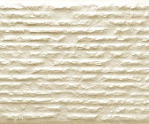 Gạch ốp tường Viglacera - Cửu Long CL-1324