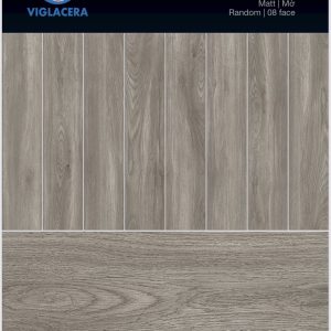 Gạch thẻ 200x1000 Viglacera SH-GK21001