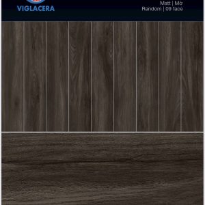 Gạch thẻ 200x1000 Viglacera SH-GK21002