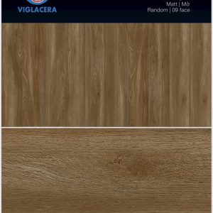 Gạch thẻ 200x1000 Viglacera SH-GK21003