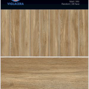 Gạch thẻ 200x1000 Viglacera SH-GK21004